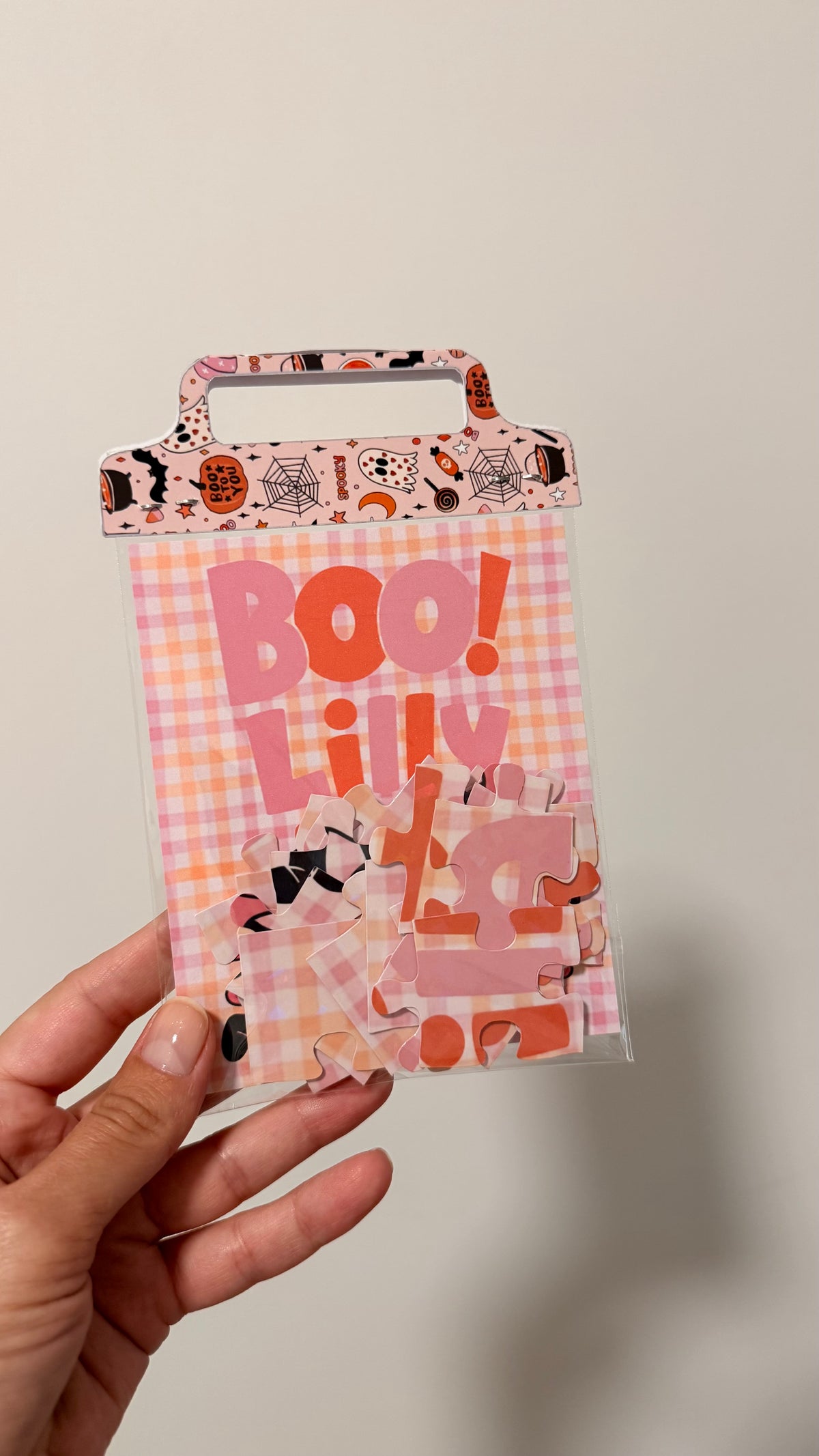Puzzle in a bag
