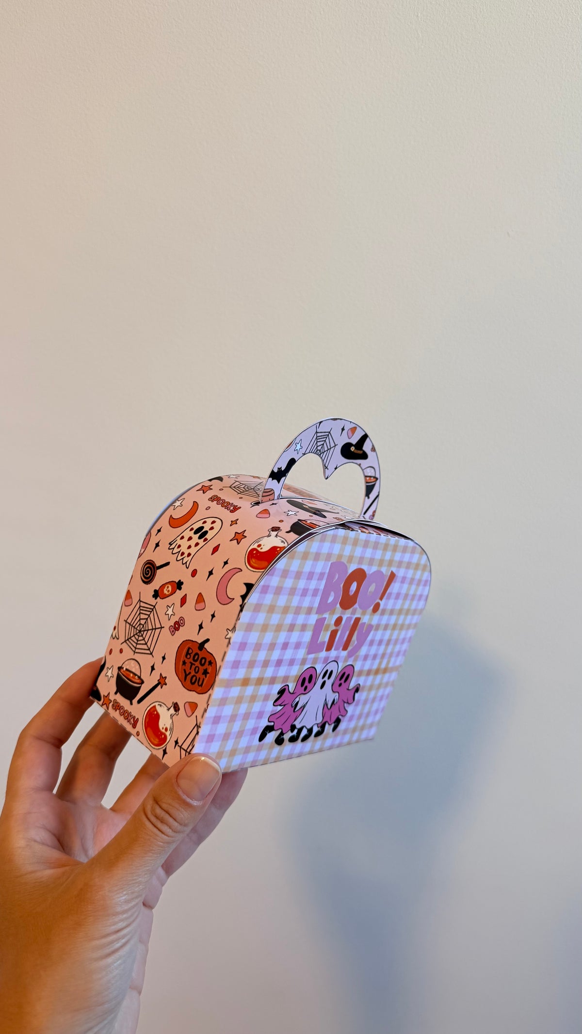 Suitcase box