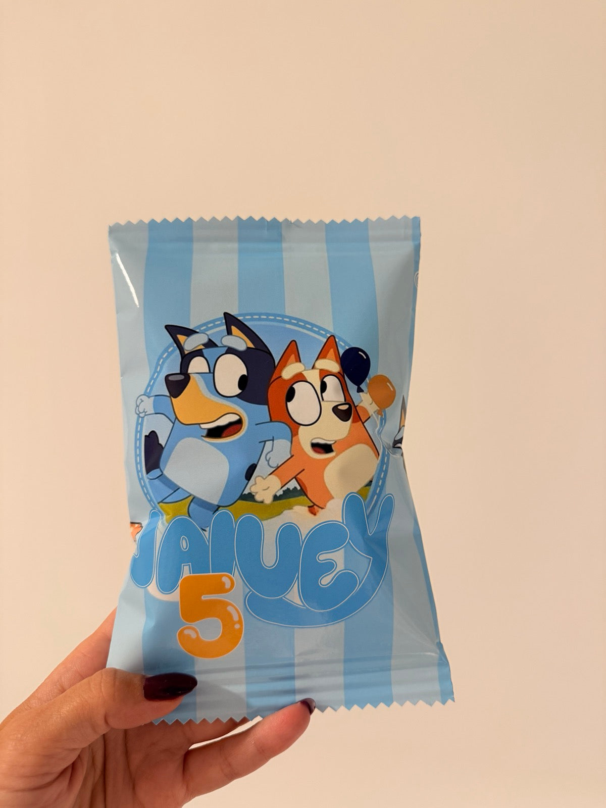 Chip Bag - LL Crafted Boutique